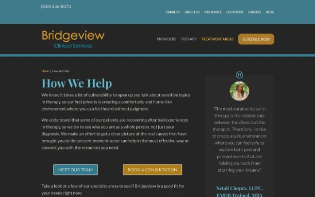 Bridgeview treatment areas website before the redesign, upper page crop