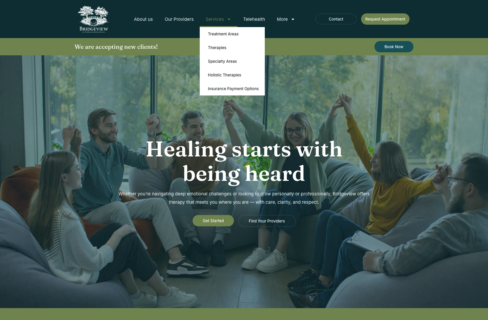 Bridgeview Counseling homepage screenshot