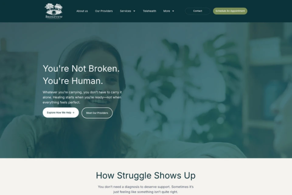 Bridgeview landing page: You're not broken. You're human.